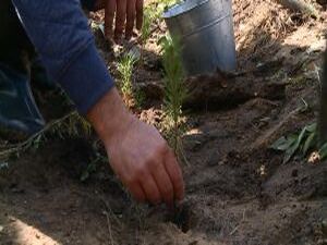 В субботу 21 сентября на территории Московской области…