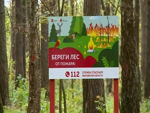 В лесном массиве рядом с деревней Островцы скоро…