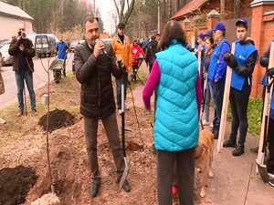 В минувшие выходные в городском поселении Кратово…