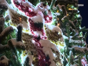 Новогодние поздравления от жителей прозвучат в парках…