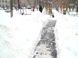 За сколько суток необходимо вывезти снег? Какие лопаты…