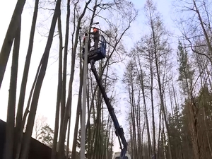 Жители с улицы Тумановской поселка Кратово с 24 ноября…