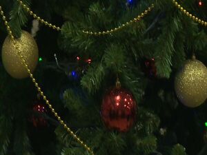 В ДК им. Воровского состоялась ёлка Главы Раменского…