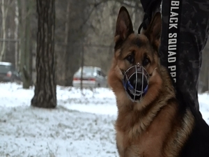 Каждый год в преддверии Российского дня студенчества МВД…