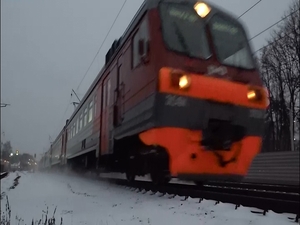 С начала года в Раменском городском округе на…