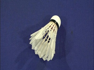 В Борисоглебском 3 февраля завершилось Первенство…