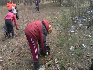 Первый субботник в Раменском городском округе уже…