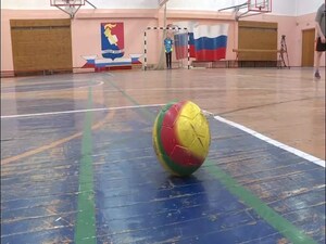 Завершились областные соревнования «Мини-футбол в школу…