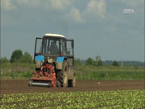 В Московской области начался яровой сев. Об этом…