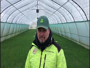 В фермерском агросоюзе братьев Кикинадзе началась…