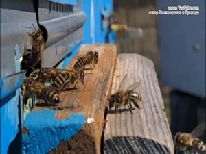 Внесение изменений в федеральный закон «О безопасном…