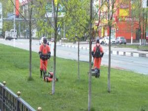 С наступлением весны у сотрудников МБУ «Содержание и…