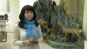 «Ночь в музее 2020»