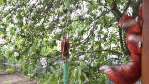 Погода зачастую нас удивляет своей переменчивостью.