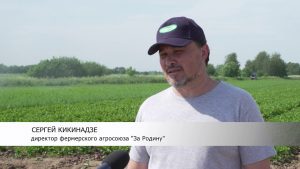 Время собирать урожай пришло. В фермерском агросоюзе «За Родину» к уборке приступили 6 июня.