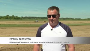 До 1-го гектара в день рулонного газона срезают в садовом центре