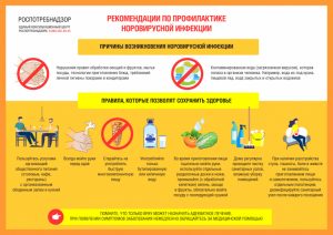 О рекомендациях по профилактике норовирусной инфекции