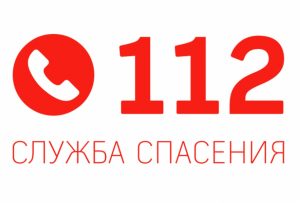 В Раменском г.о. по системе 112 за неделю поступило 7742 обращения.