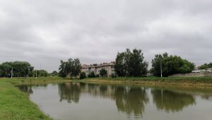 В Раменском городском округе МКУ «ТУ Новохаритоновское» завершены работы по очистке водоема в пос.Электроизолятор