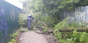 В поселке совхоза «Раменский» устранены последствия урагана