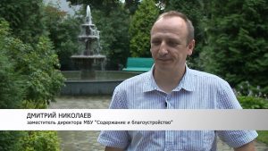 В Раменском проходят летние работы по санитарной обрезке деревьев на  улицах города.