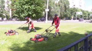 Теплая погода и частые осадки способствуют интенсивному росту травы.