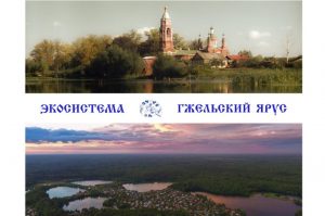 Команда Раменского округа подала проект на Всероссийский конкурс