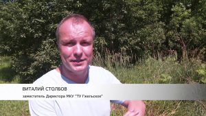 Помимо покоса травы ведется борьба с борщевиком Сосновского.