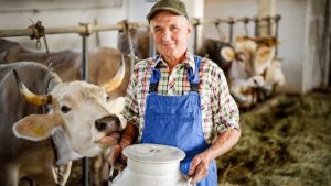 Гранты раменским фермерам на развитие семейных ферм