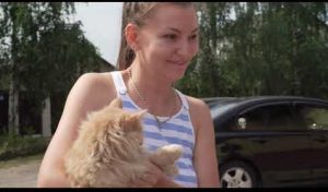 Врачи Раменской ветеринарной станции продолжают выездные мероприятия в СНТ и деревни нашего г.о.