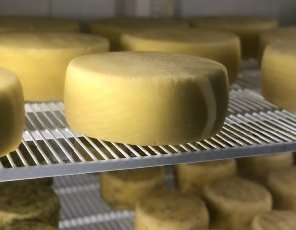 5 фермерских хозяйств Раменского городского округа примут участие в фестивале «СЫР ПИР МИР» в Истре