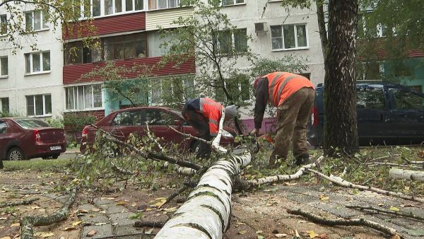 Устранение последствий вчерашней непогоды в г.Раменское