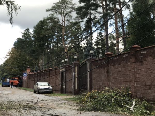 Коммунальные службы устраняют последствия сильного ветра в поселке Ильинский Раменского г.о.