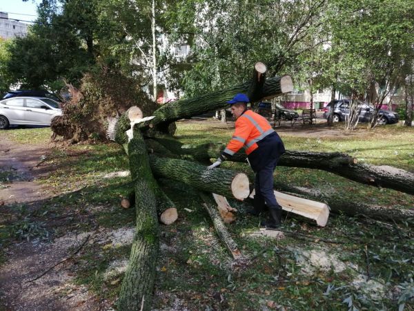 Устранение последствий вчерашней непогоды в г.Раменское