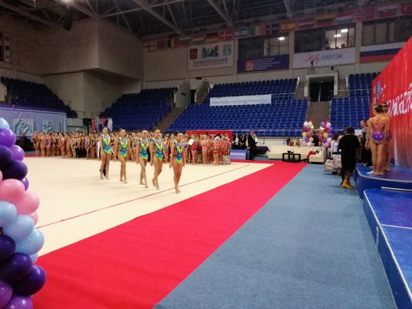 19 и 20 сентября в спорткомплексе «Борисоглебский» состоятся соревнования МО по эстетической гимнастике «Виктория».