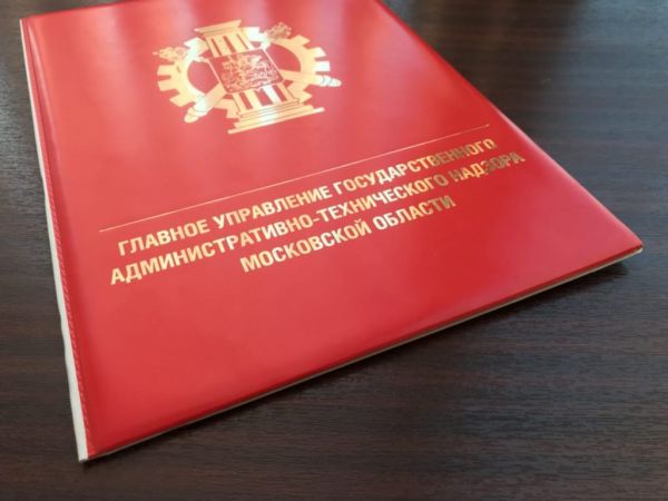 28 нарушений, связанных с содержанием зеленых насаждений и уборкой территорий, устранено за месяц в Раменском г.о.