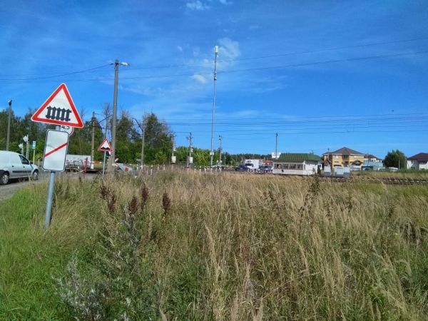 В Раменском автобусные маршруты Мострансавто будут курсировать по временной схеме