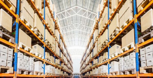 Объект сельхозназначения и многофункциональный комплекс из Раменского будет сопровождать ЦСС