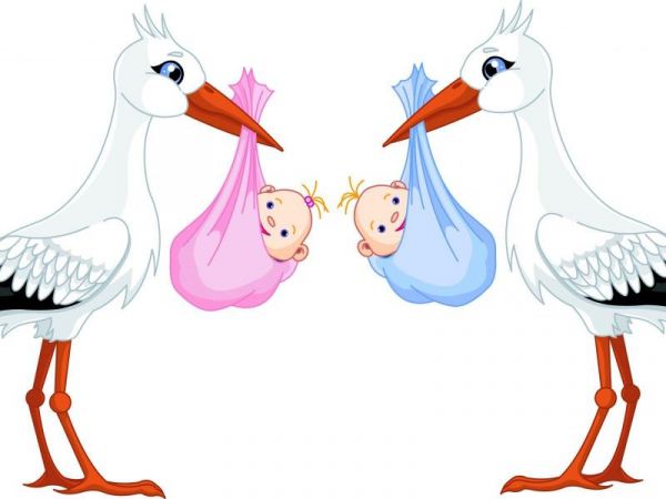 Раменское управление ЗАГС Главного управления ЗАГС Московской области о рождениях в августе 2020 года