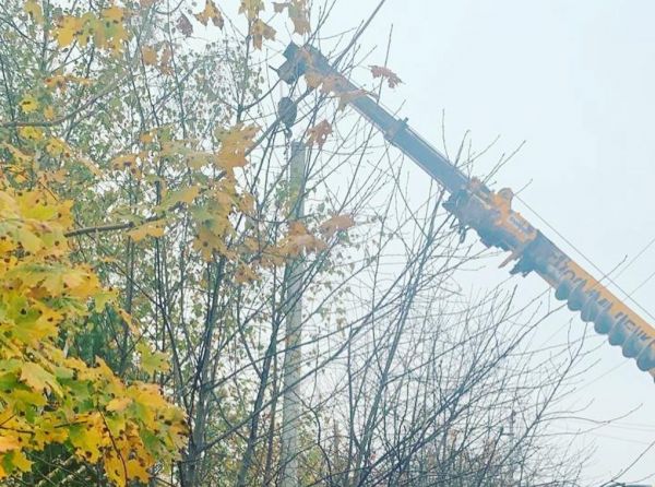 В ТУ «Родники» Раменского г.о. проводят работы по установке уличного освещения