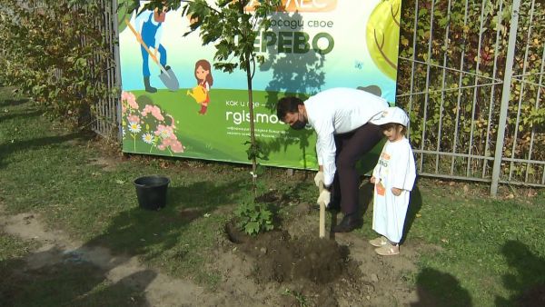 Акция «Наш лес. Посади свое дерево»