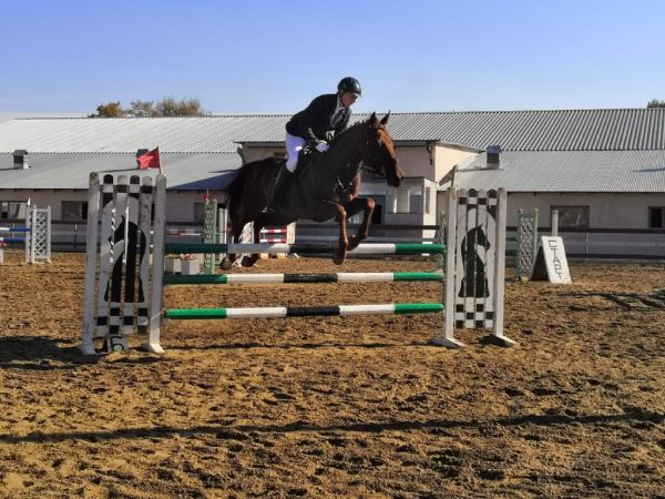 Более 50 человек приняли участие в Кубке главы Раменского г.о. по конному троеборью