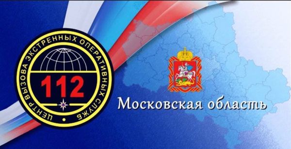 Сводка «Системы 112» за прошедшую неделю в Раменском г.о.
