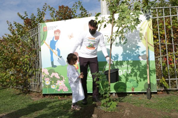 Весь сентябрь в Подмосковье проходит ежегодная экологическая акция «Наш лес. Посади свое дерево»