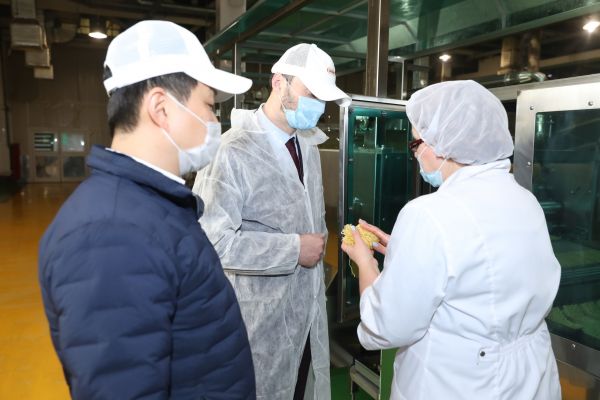 В Раменском городском округе 12 290 субъектов малого и среднего предпринимательства.