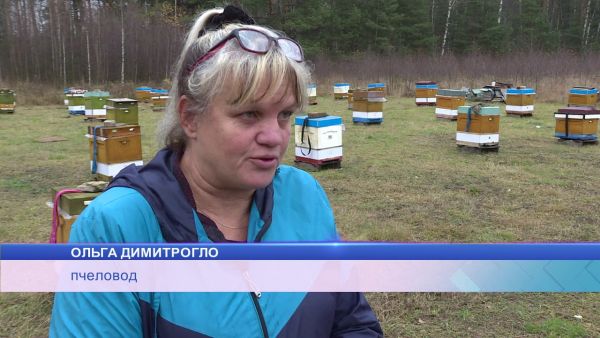Подготовка пчеловодов к зиме