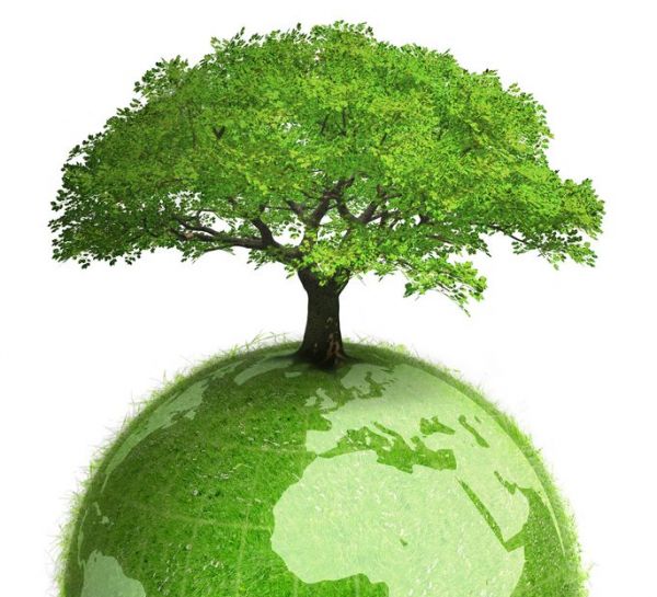 Ученики раменской школы №8 стали победителями Всероссийского молодежного конкурса «ЮНЭКО-2020».