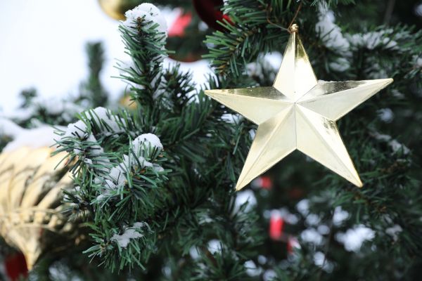 ТУ «Рыболовское» Раменского городского округа украшено к Новому году!