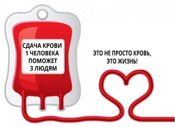 Как стать донором? Московская областная станция переливания крови советует…