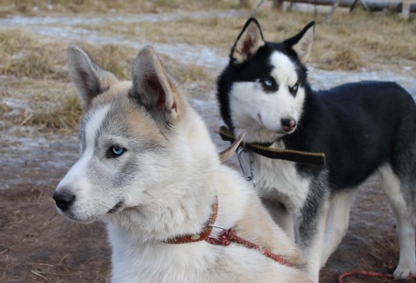 Раменский этнокультурный комплекс вошел в топ-8 идей, куда сходить с ребенком на каникулах в Подмосковье.